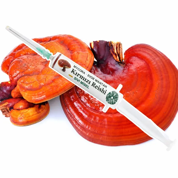 Kırmızı Reishi Sıvı Misel · 5cc