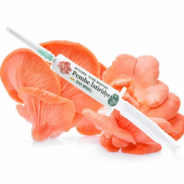 Pembe İstiridye Sıvı Misel · 5cc