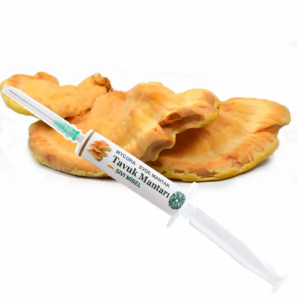 Tavuk Mantarı Sıvı Misel · 5cc
