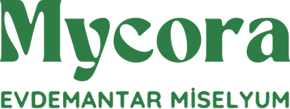 Mycora Evdemantar Miselyum